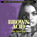 Brown Acid: The Third Trip (Heavy Rock From The Underground Comedown)