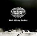 Black Shining Leather