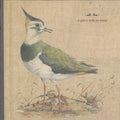 Feathers Wet, Under The Moon