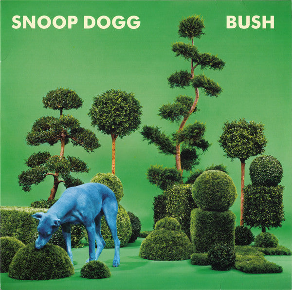 Bush