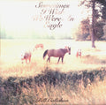 Sometimes I Wish We Were An Eagle
