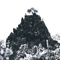 WINTERSWELL