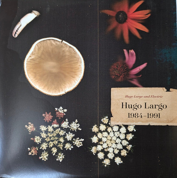 HUGE, LARGE & ELECTRIC: HUGO LARGO 1984-1991