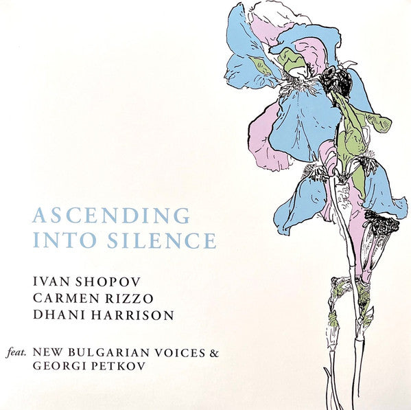Ascending Into Silence