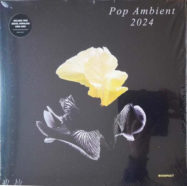 POP AMBIENT 2024
