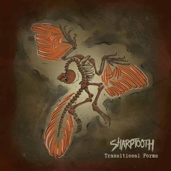 TRANSITIONAL FORMS