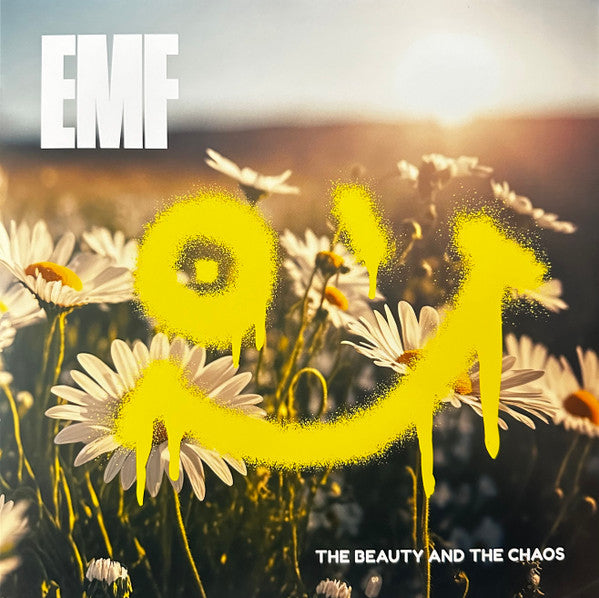The Beauty And The Chaos