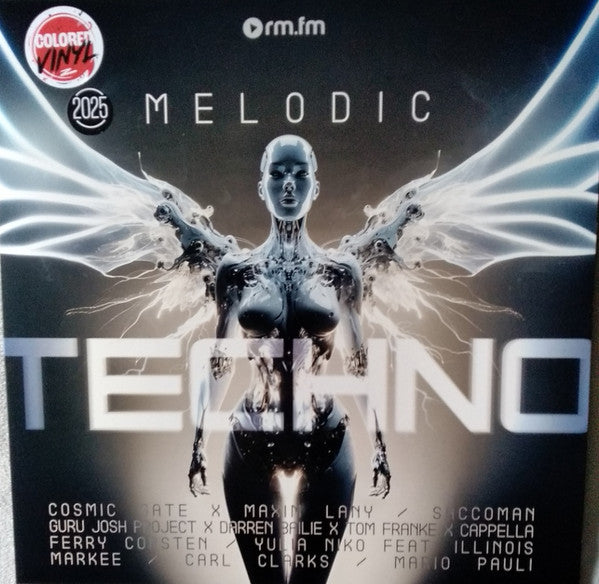 MELODIC TECHNO 2025