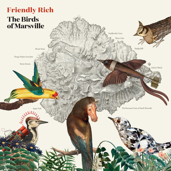 The Birds Of Marsville