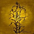 LAUGHING STALK