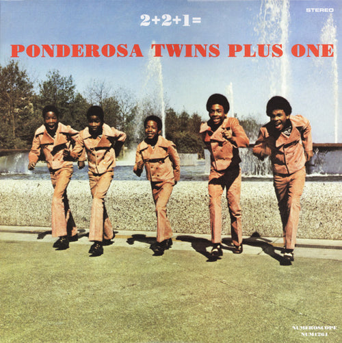 2+2+1 = Ponderosa Twins + One