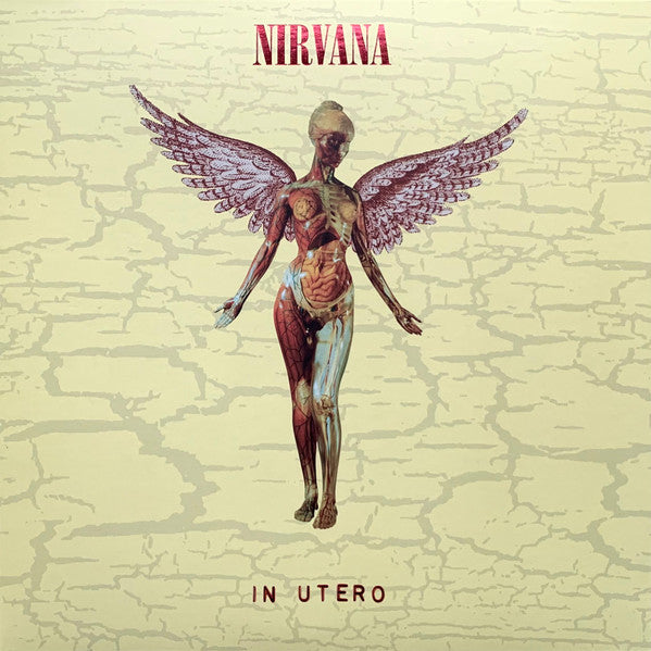 IN UTERO