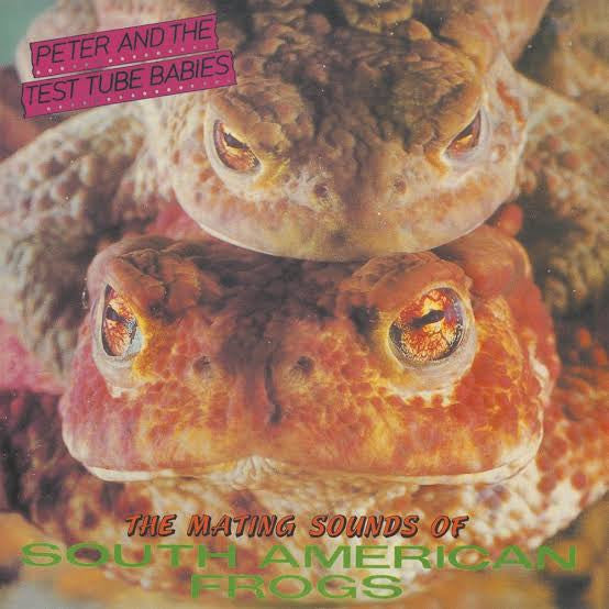 The Mating Sounds Of South American Frogs
