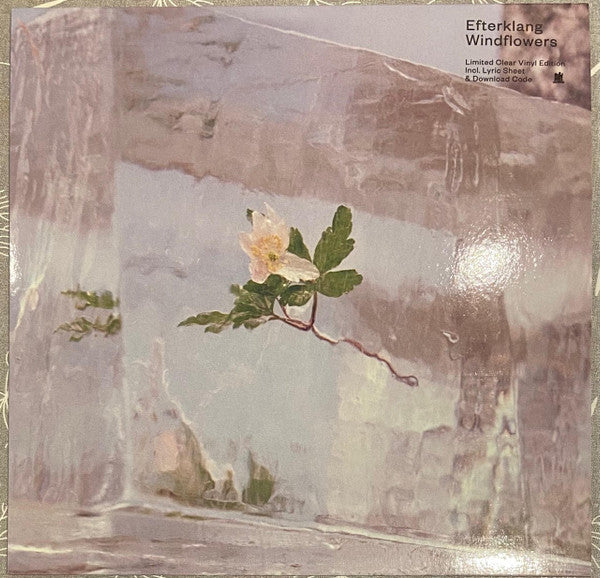 Windflowers