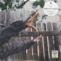 Madvillainy 2: The Madlib Remix