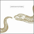 BoySetsFire