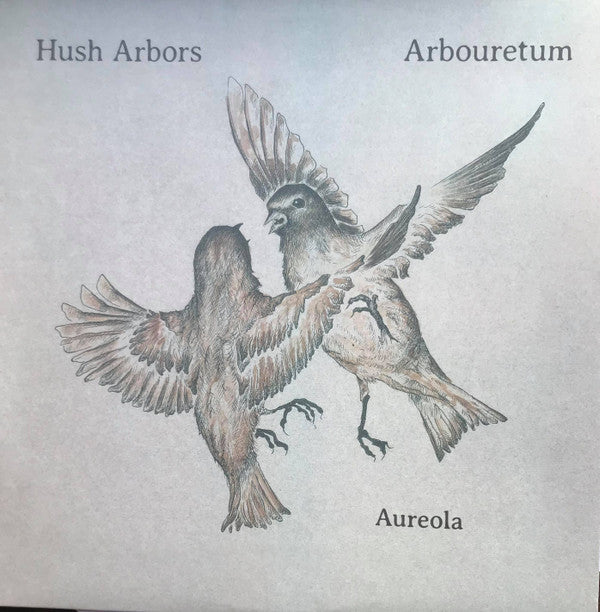 Aureola