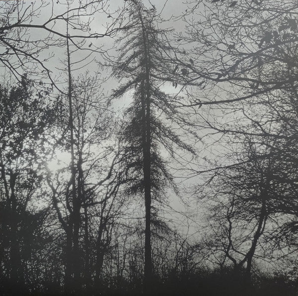 Feral Earth