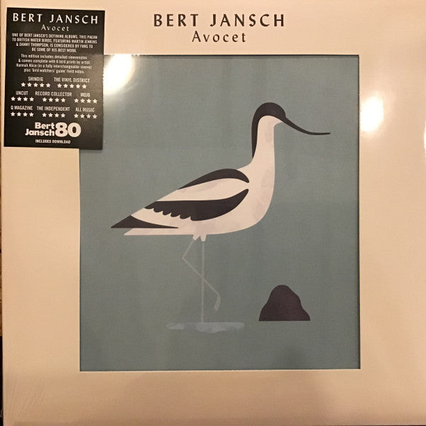 Avocet