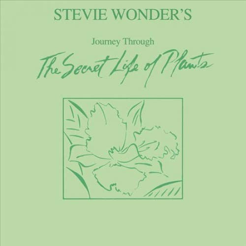 Stevie Wonder's Journey Through The Secret Life Of Plants