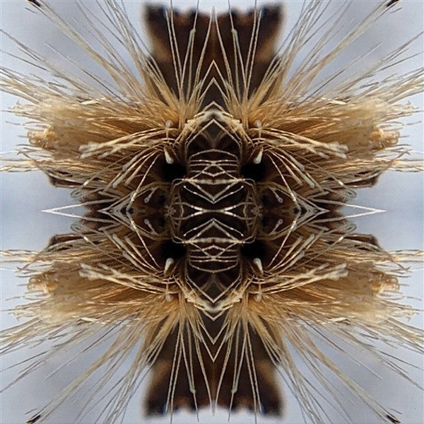Sutra