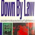 PUNKROCKACADEMYFIGHTSONG
