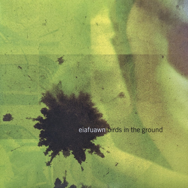 BIRDS IN THE GROUND