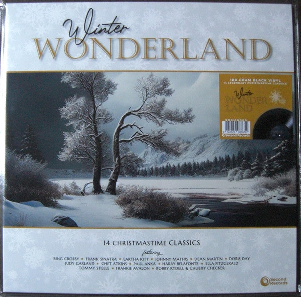 Winter Wonderland (14 Christmastime Classics)