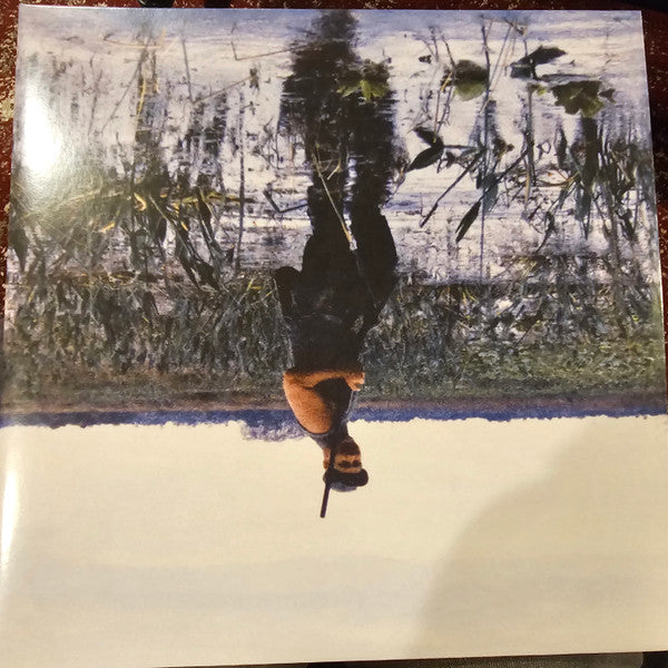 Animal Drowning