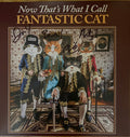 NOW THAT'S WHAT I CALL FANTASTIC CAT