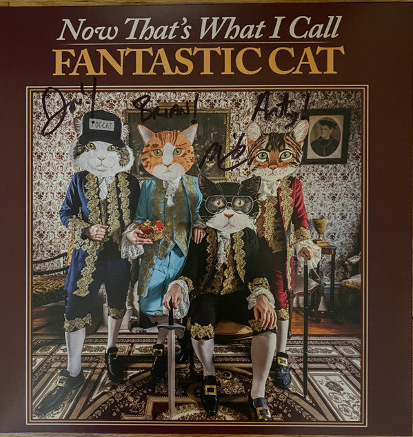 Now That's What I Call Fantastic Cat