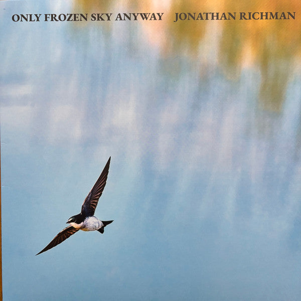 Only Frozen Sky Anyway