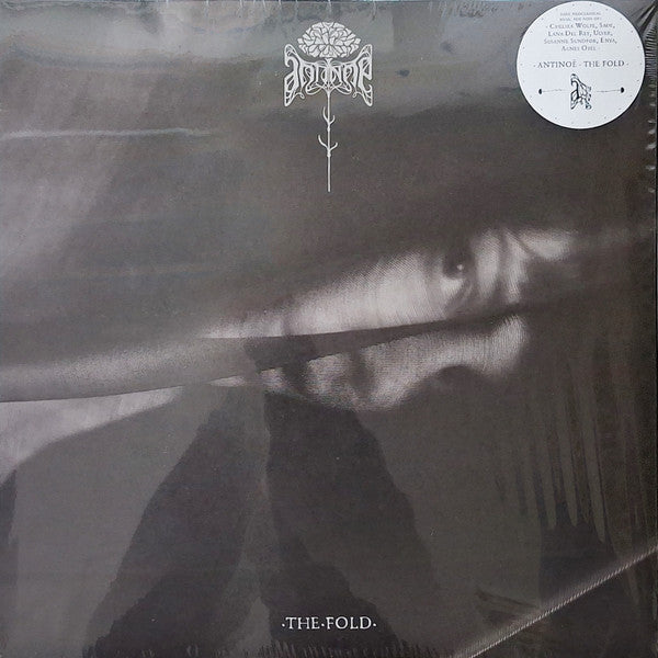 The Fold