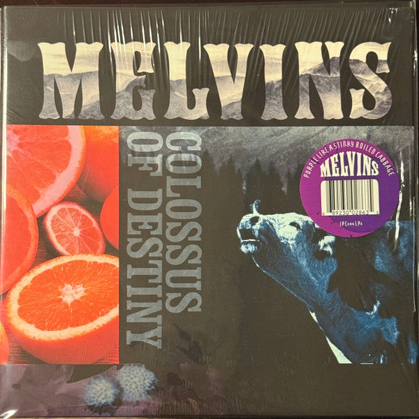 Colossus Of Destiny
