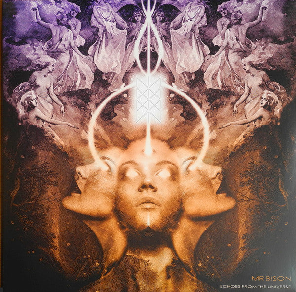 ECHOES FROM THE UNIVERSE
