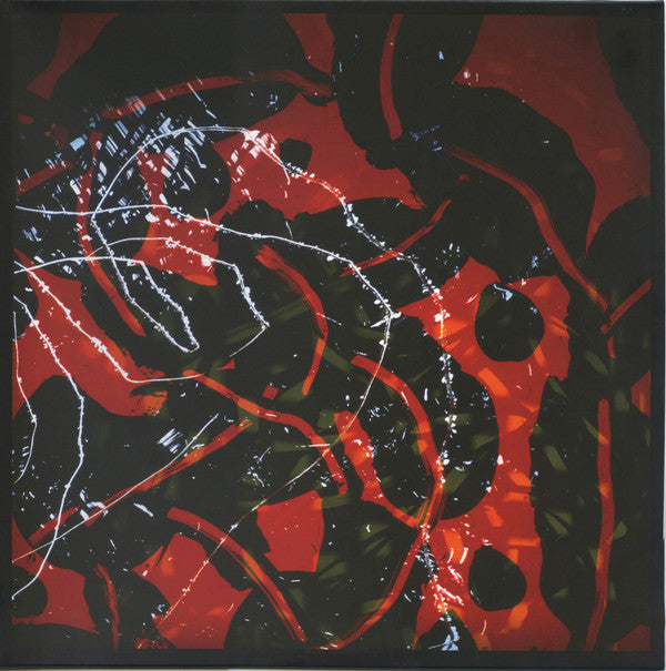 Nerve Net