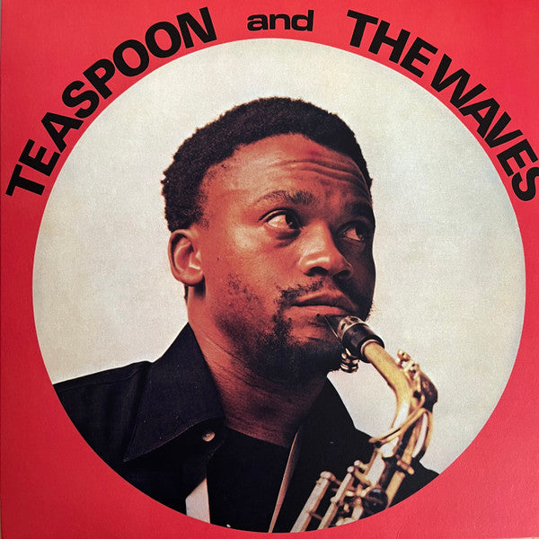 Teaspoon & The Waves