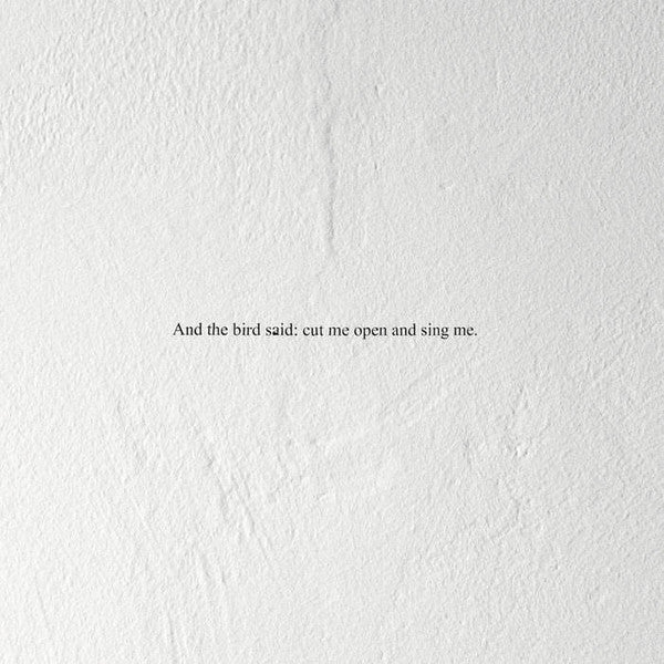 And The Bird Said: Cut Me Open And Sing Me