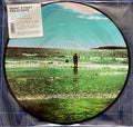 Ultra Vivid Lament - Picture Disc