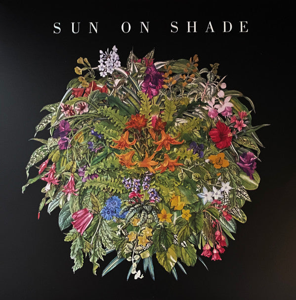 Sun On Shade