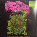 PORNOGRAPHIC SEIZURES - EP (RE-ISSUE 202
