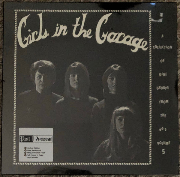 GIRLS IN THE GARAGE VOLUME 5