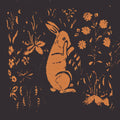 RABBIT ALBUM