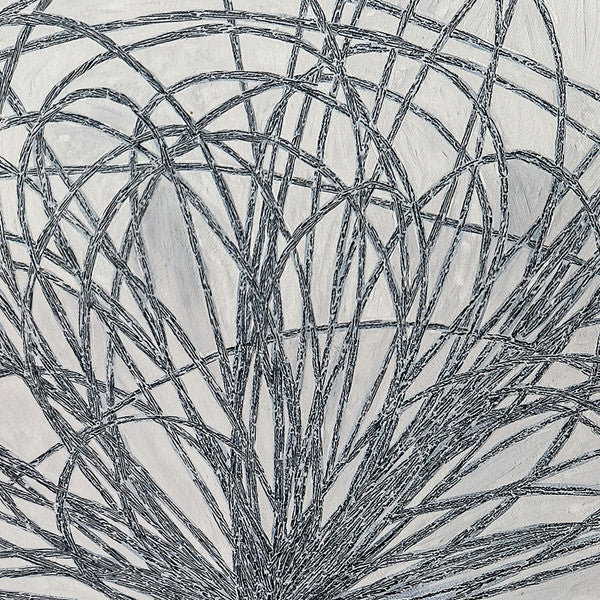 Hausi