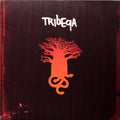TRIBEQA