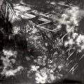 Suffocating Hallucination