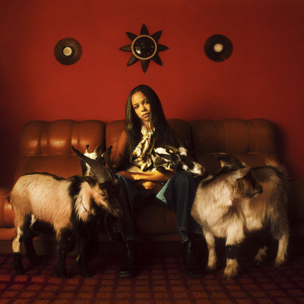 CAPRICORN SUN