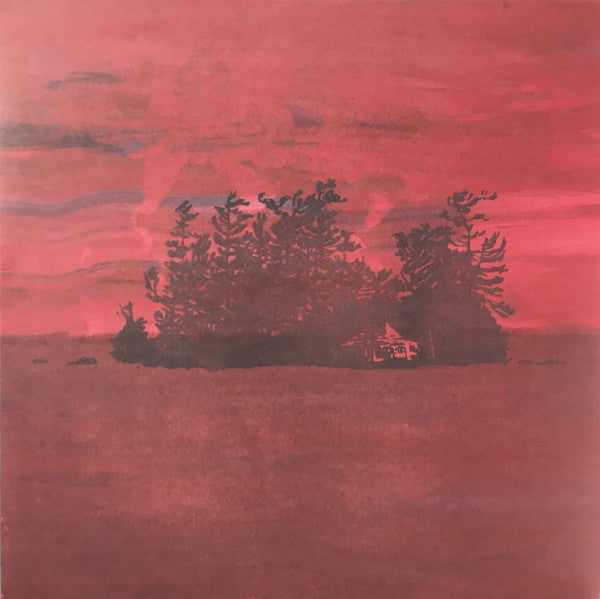 The Besnard Lakes Are The Divine Wind