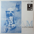 DREAM A LITTLE DREAM