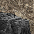NOWHERE